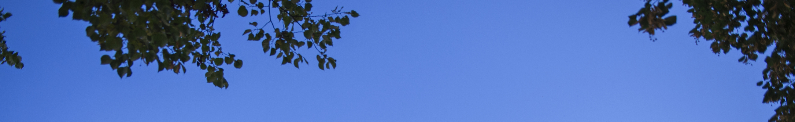 Instalco Gävle 18 (1)